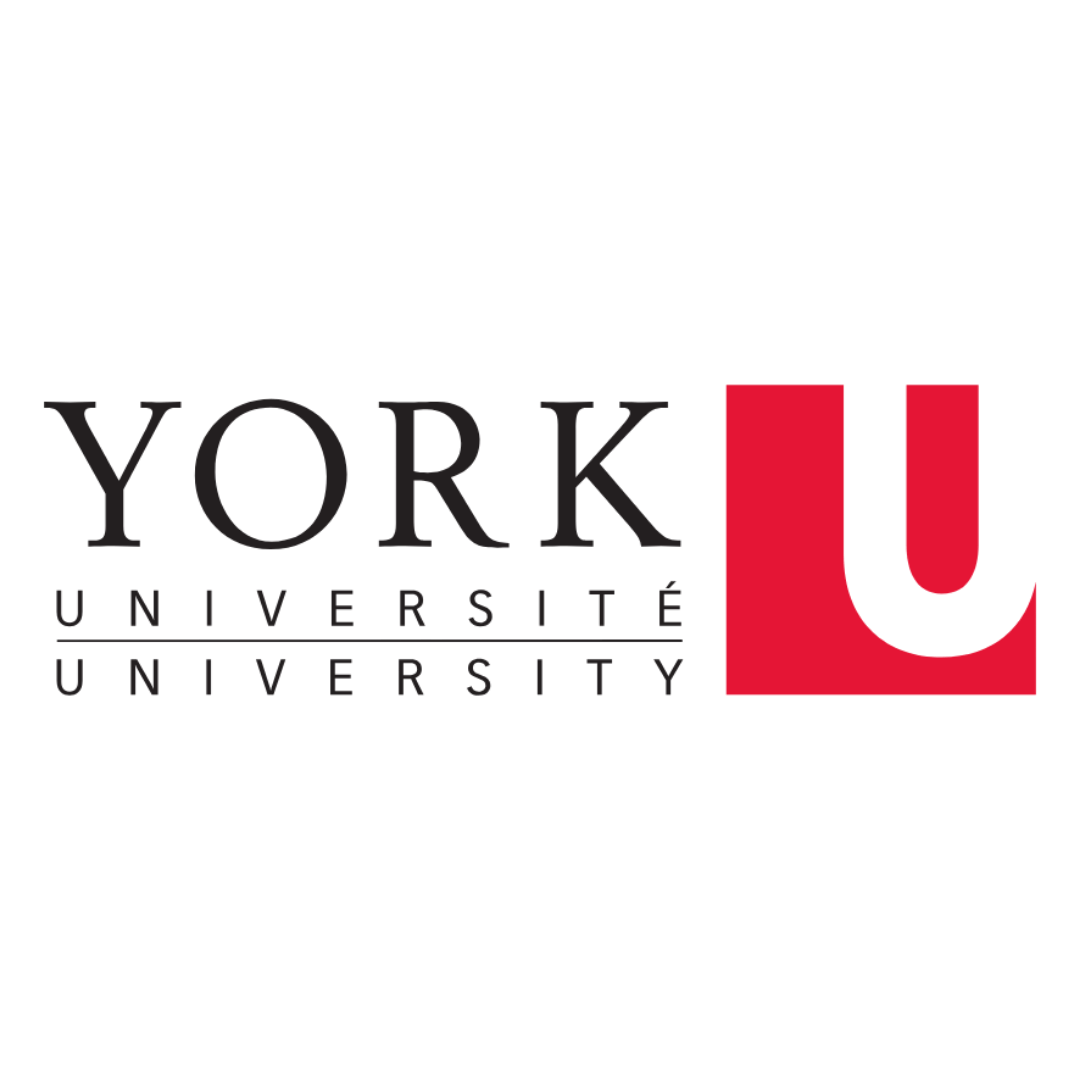 York University